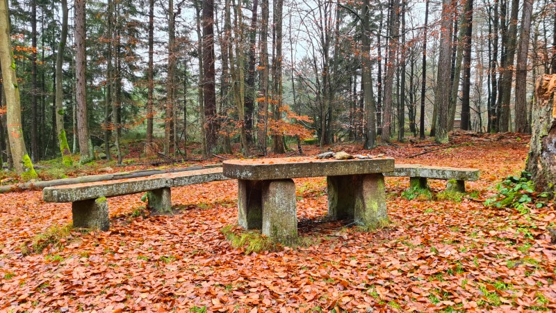 Am Luisentisch im Herbst