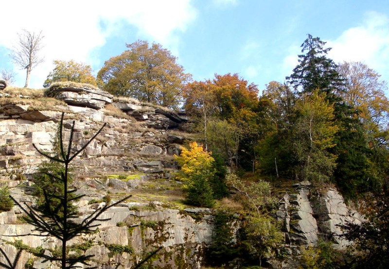 Epprechtstein Gipfel Wald