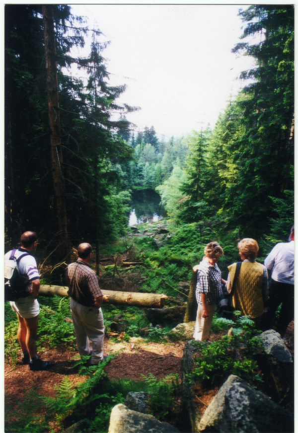 Geyersbruch im Jahr 2000