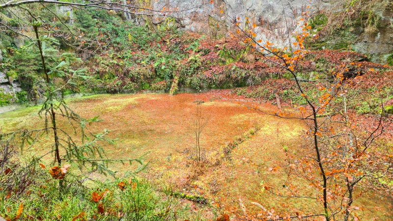 Schobertsbruch Bild 2