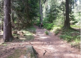 Mountainbiking rund um Kirchenlamitz